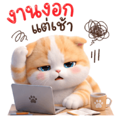 ZORA Lovely Cat 3