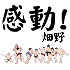畑野「はたの」相撲デカ文字連絡用