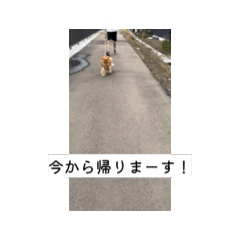 ayumi_20260730215401