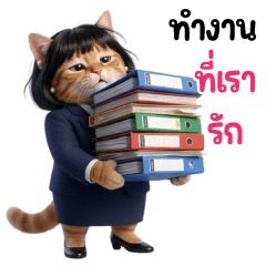Office cat salary