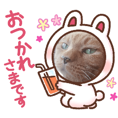 癒しの変顔