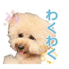 hana_20260730202354