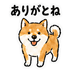 Nemuro Dialect Shiba Inu