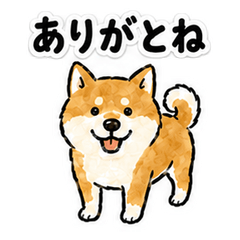 Hokushin Dialect Shiba Inu