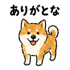 Buzen Dialect Shiba Inu