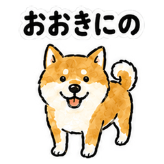 Reihoku Dialect Shiba Inu