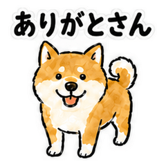 Toshin Dialect Shiba Inu