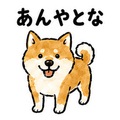 Matsumae Dialect Shiba Inu