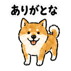 Seino Dialect Shiba Inu