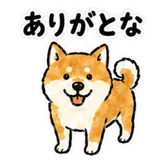 Bungo Dialect Shiba Inu