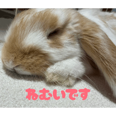 Kanao_20260730224843