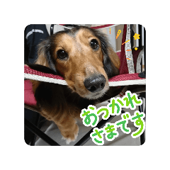michi_20260730224556