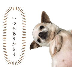 fkuuuhouse_20260730230957