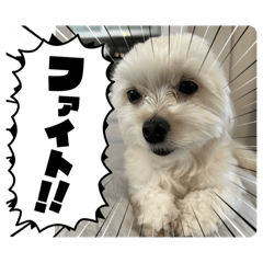 hana_20260731063913