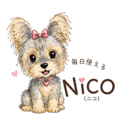 NICO's Everyday Stickers