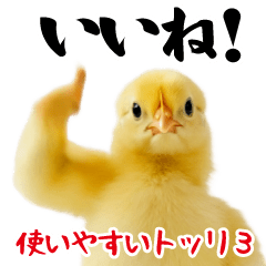 Easy-to-use bird3