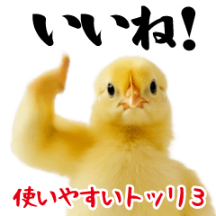 Easy-to-use bird3