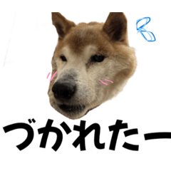 Hana_20260731082811