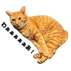 mero_20260730224009