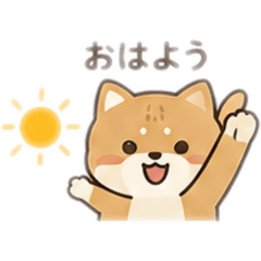 kayui_20260730230252