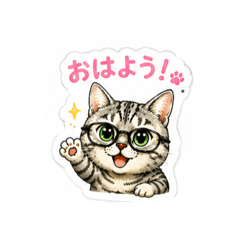 MOMO_20260731094837