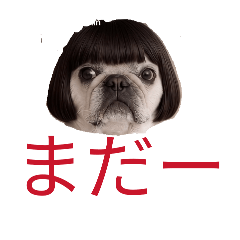 hayato_20260731094949
