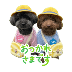 kotaro_20260731094716