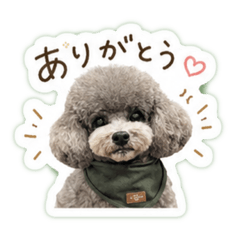 naccchan_20260731095551