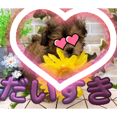 kankan_20260731094516