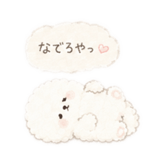 pancyo_20260731100109