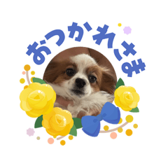 ayumi_20260731114927