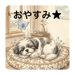 aikenmomoko