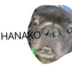 kamakiri_20260731122550
