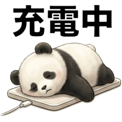 laid-back baby panda