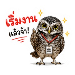 BuggyOwl Staff
