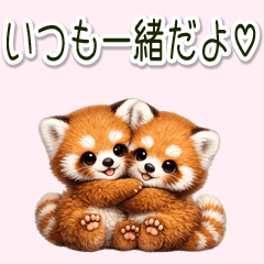 Twin baby red pandas