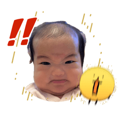 RISA_20260731132827