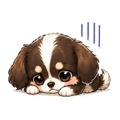 Floppy-Eared Chihuahua3rd