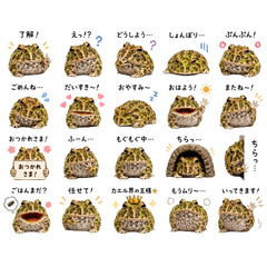 tunogaeru ver1