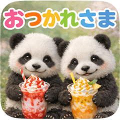 panda everyday life np
