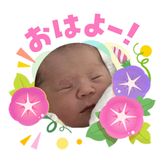 Momo_20260730164703