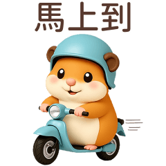 QQ Cute hamster..