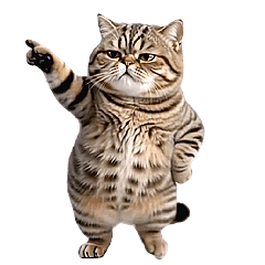 Dance Mania Cat - Q Tabby Cat