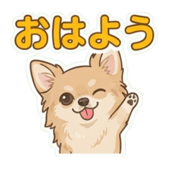 CHIHARU_20260731155923