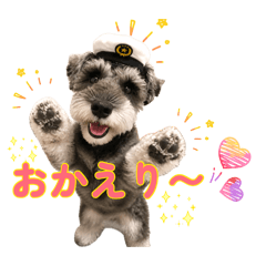 Hina_20260730203854