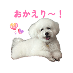 meikosan_20260731161936