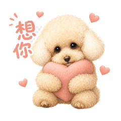 好貴的狗_貴賓狗