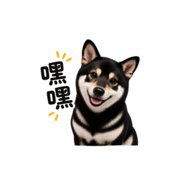 哈比陪你聊天