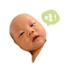 菠蘿包包