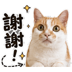 一鍵回3